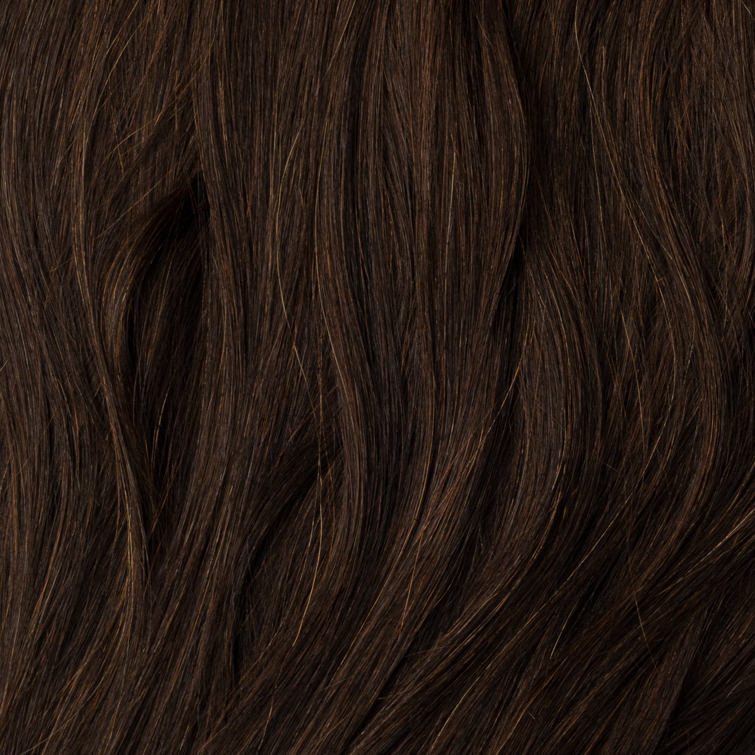 Color sample - Dark Chocolate Brown 1B