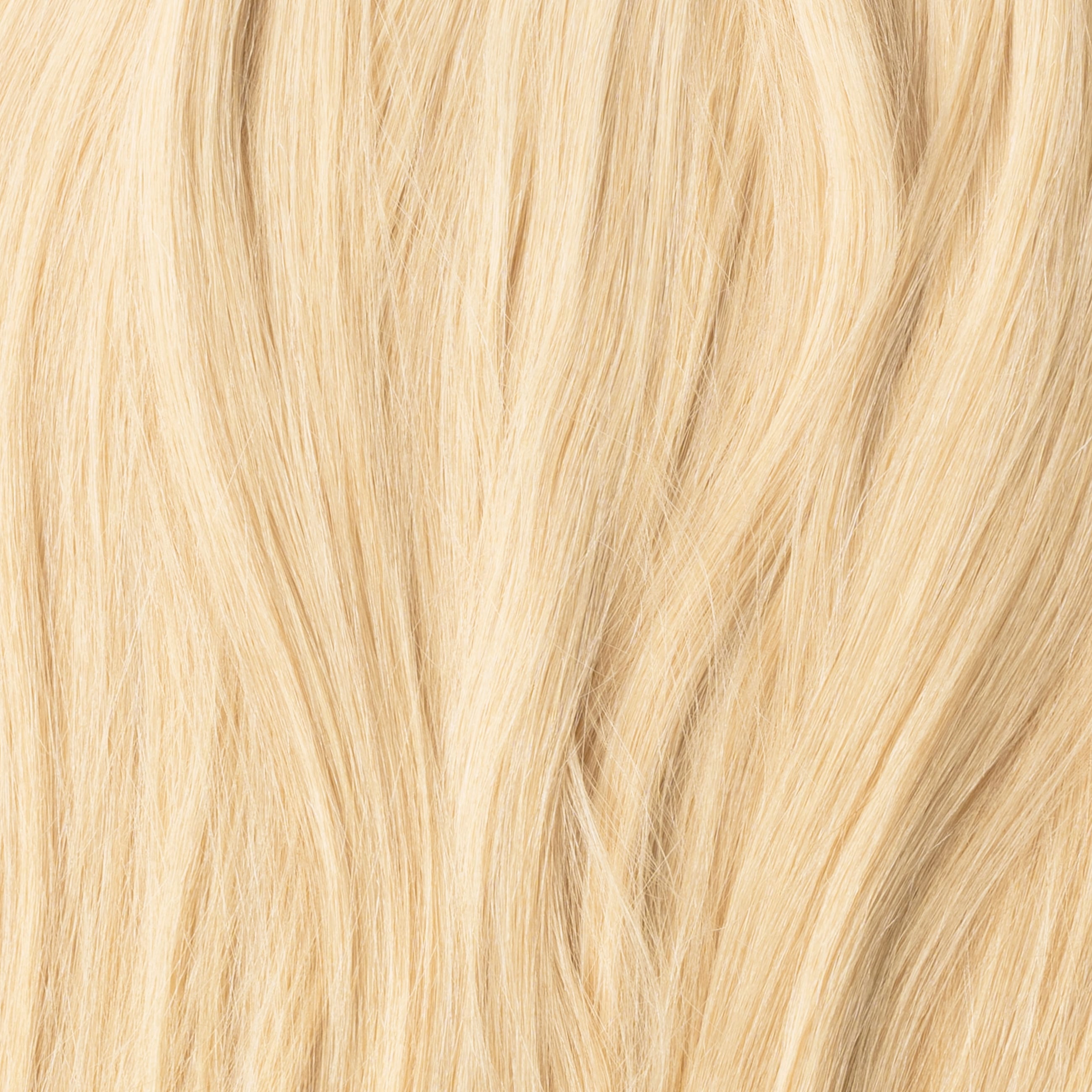 Color sample - Light Honey Blonde 22